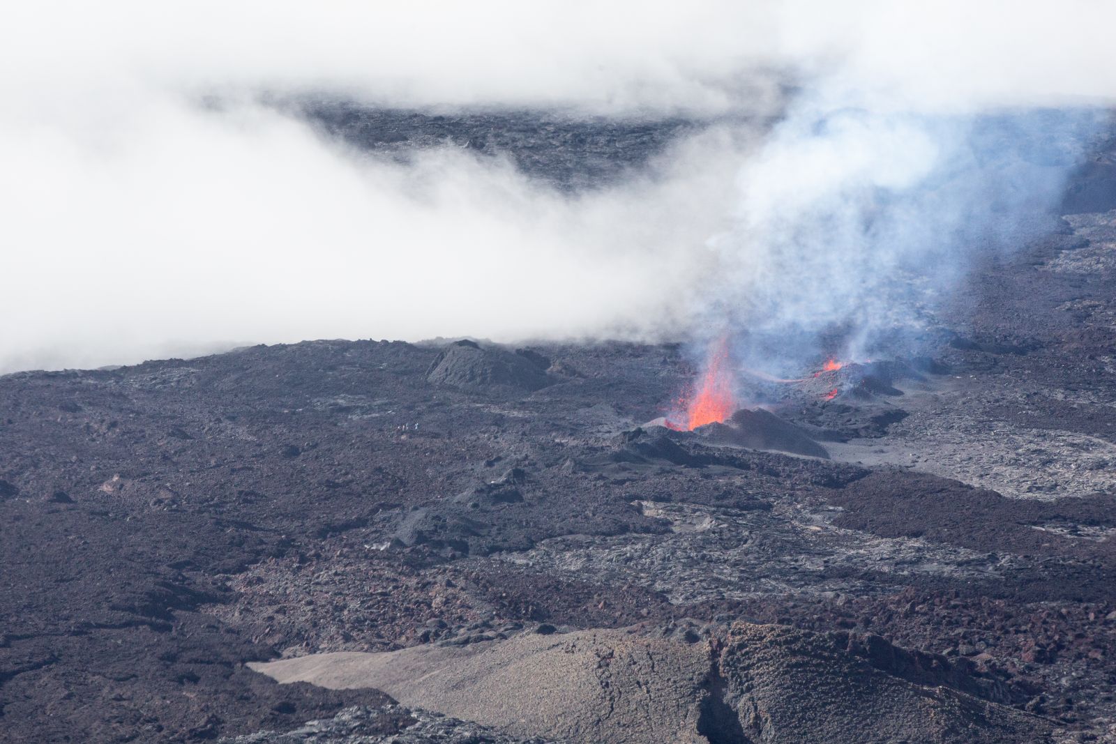 Les premières images de l'éruption du Piton de La Fournaise en direct